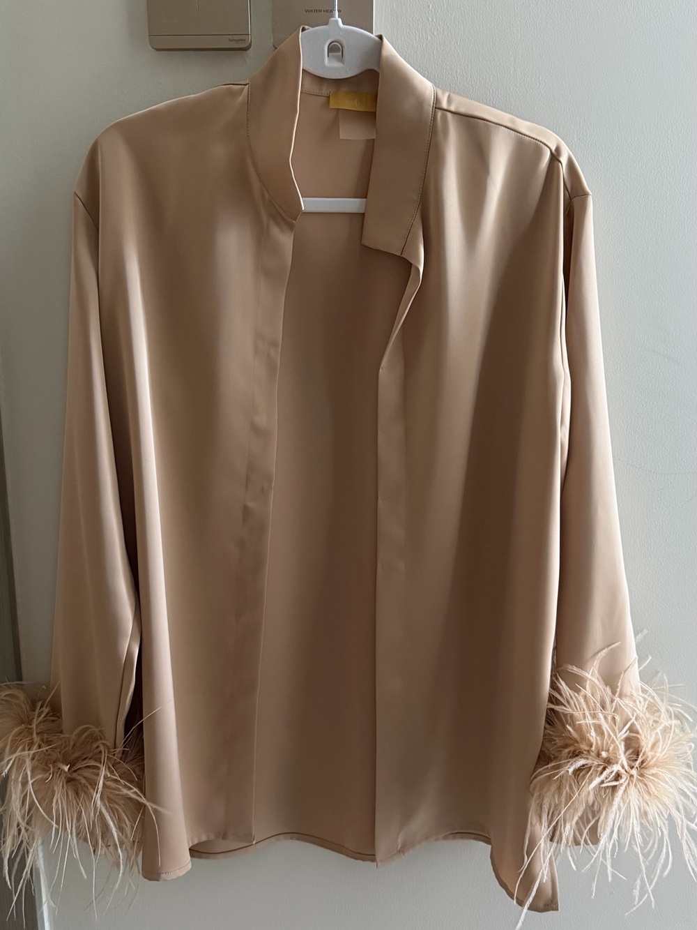 Beige Feather Cuff Satin Blouse and pants